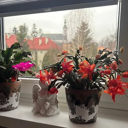 Na Chrobrego Lägenhet *