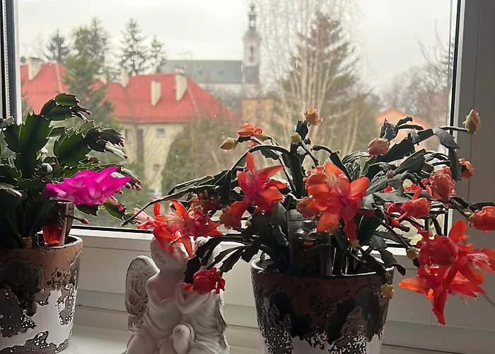 Na Chrobrego דירה *